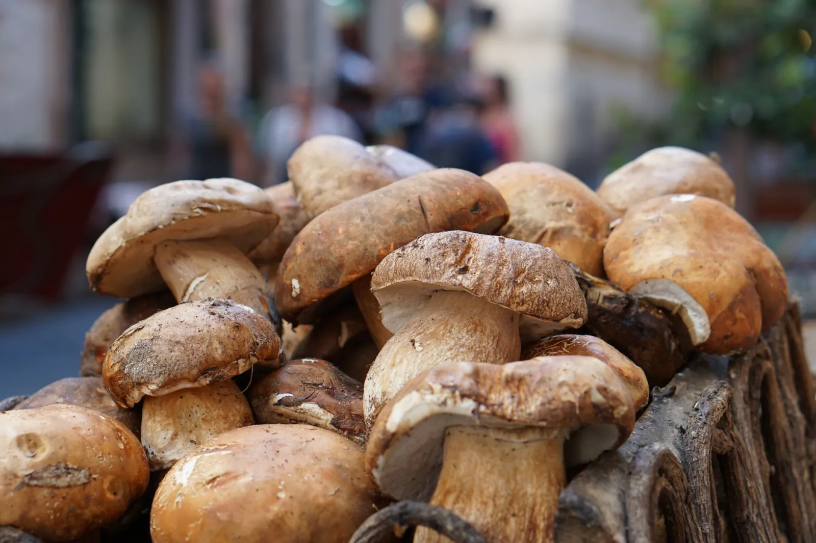 Close-up image of fresh penny bun mushrooms, also known as Boletus edulis, displayed in a rustic basket.