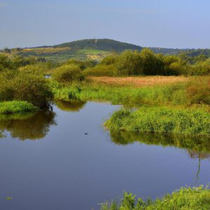 jak się ubrać do sądu
