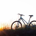 Trasy rowerowe